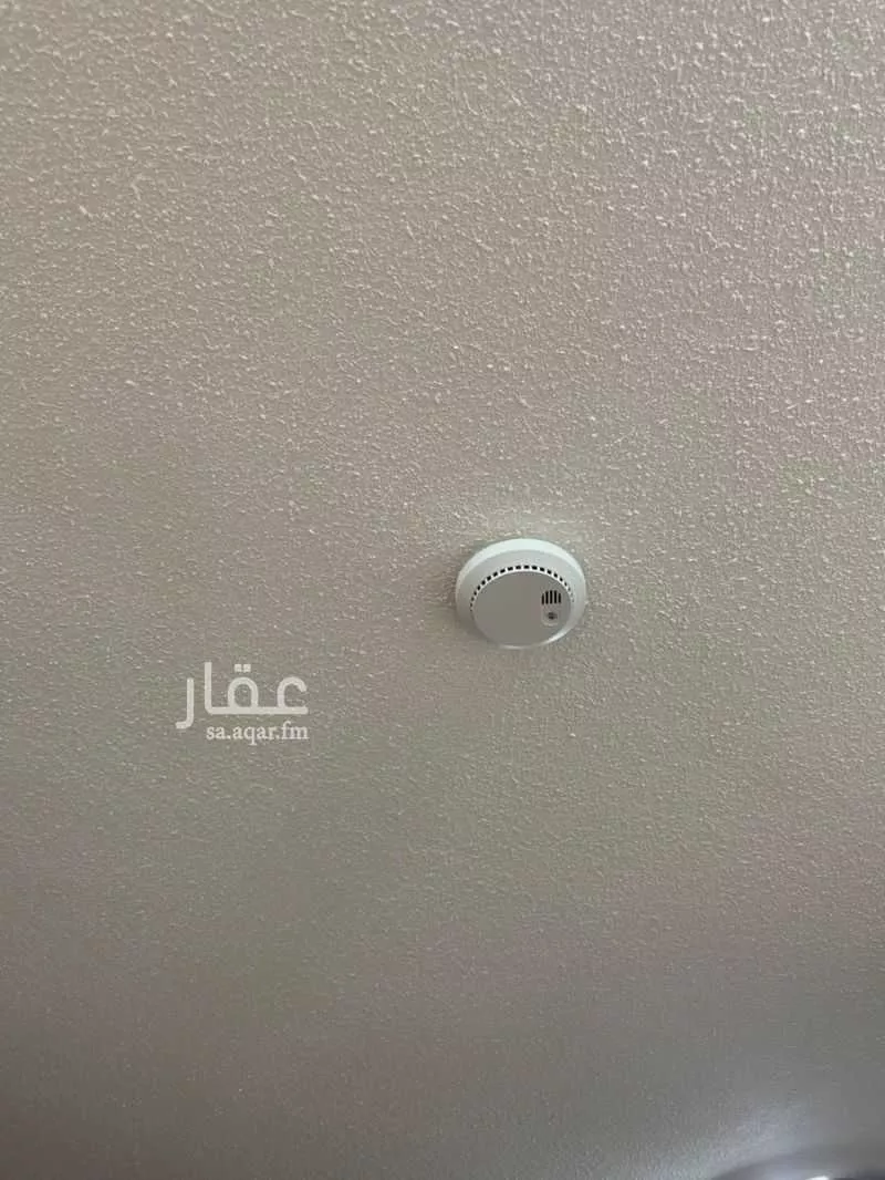 شقة 2 غرف في الحمراء 1