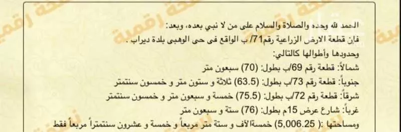 أرض 5006 م² في ضاحية نمار 3