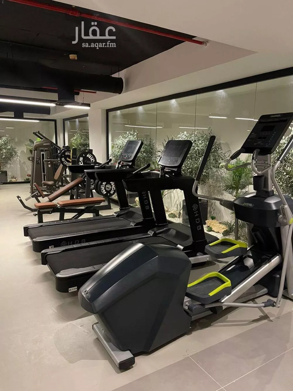 شقة 3 غرف في الخليج 2