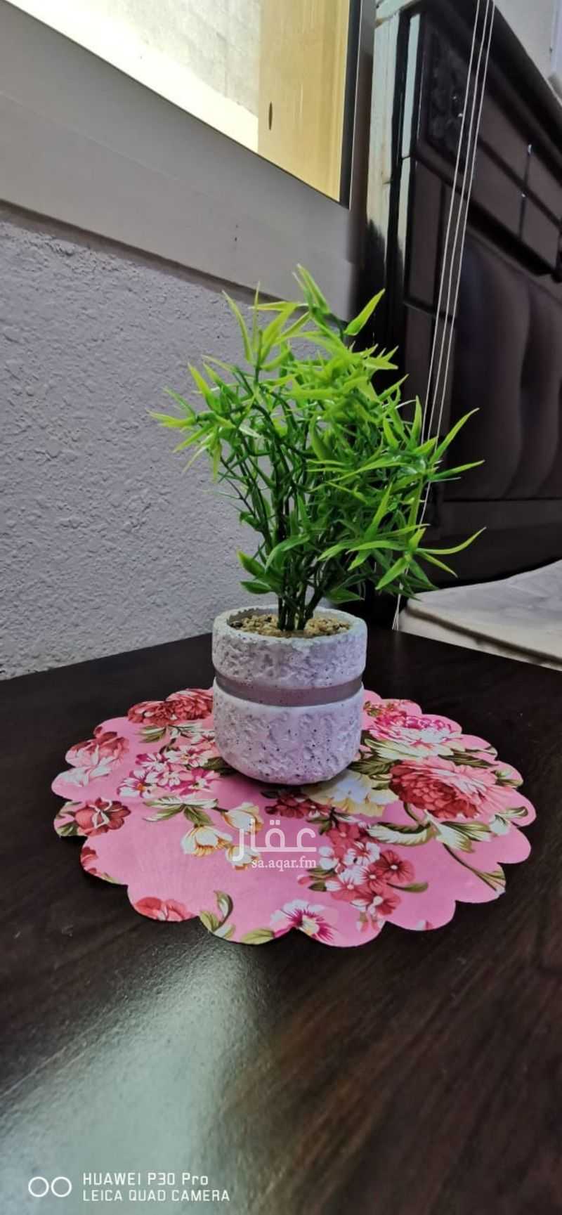 شقة 1 غرف في مخطط غرب المزارع، مدينة الجبيل الصناعية 17