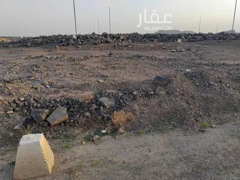 1 bedroom land in Al Sakb, Madinah 6