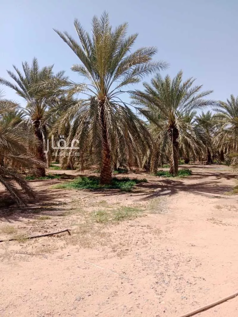 أرض 30000 م² في البلقاء 5