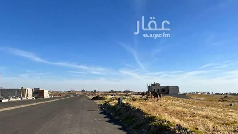 أرض 1200 م² في جدة 3
