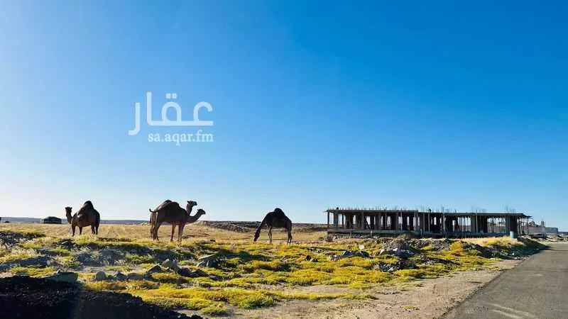 أرض 1200 م² في جدة 2