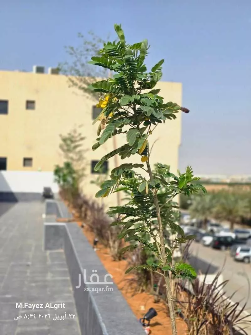 عقار 1 غرف في المونسية، الرياض 2