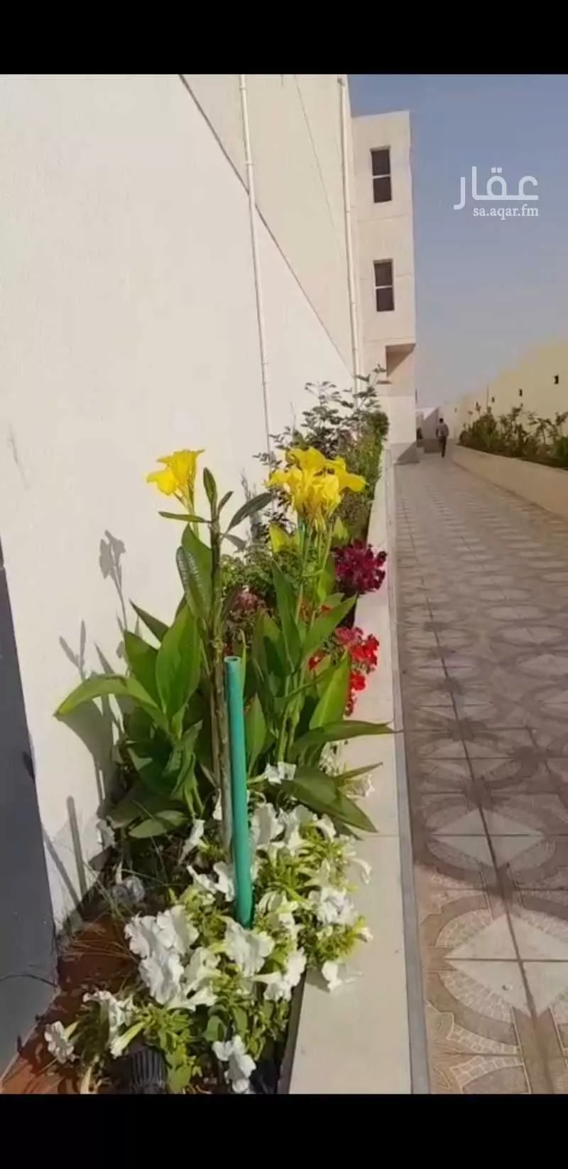 مكتب 5897 م² في المونسية 2