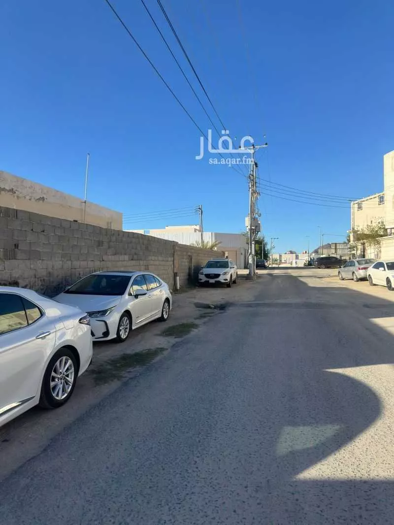 عمارة 1001 م² في الشرائع 2