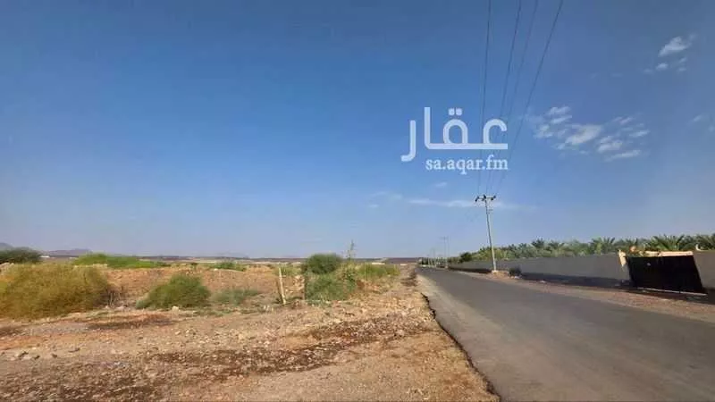 أرض 384713 م² في المطار 4