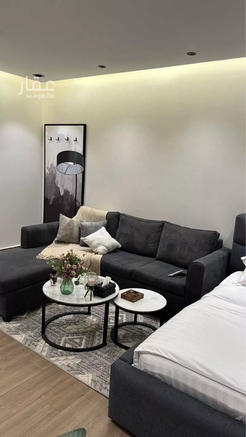 شقة 1 غرف في العقيق 4