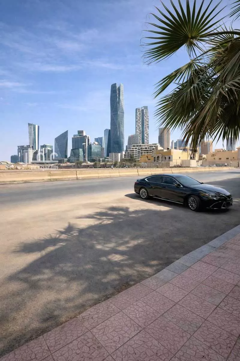 فيلا 8 غرف في العقيق 1