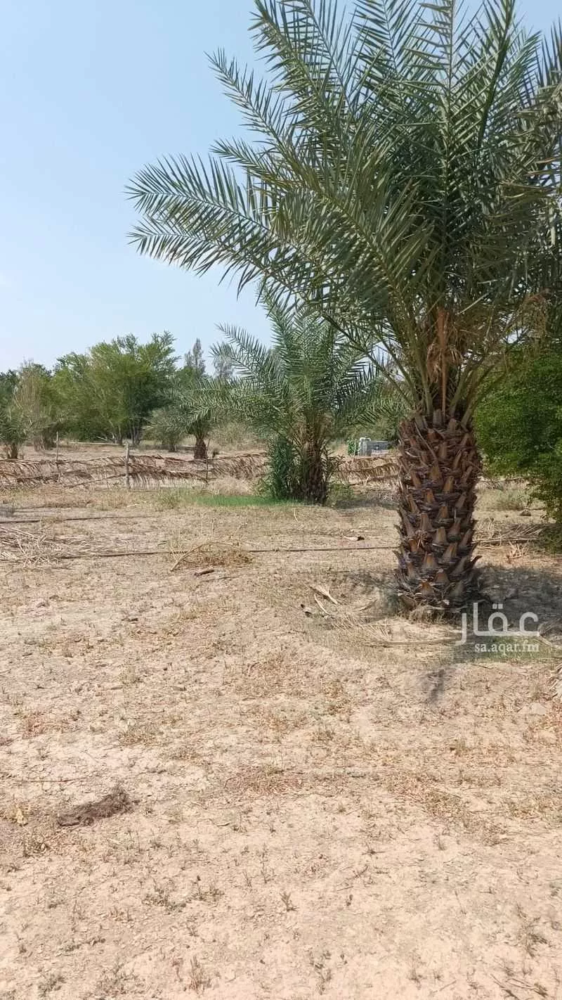 أرض 112088 م² في العكيشية 5