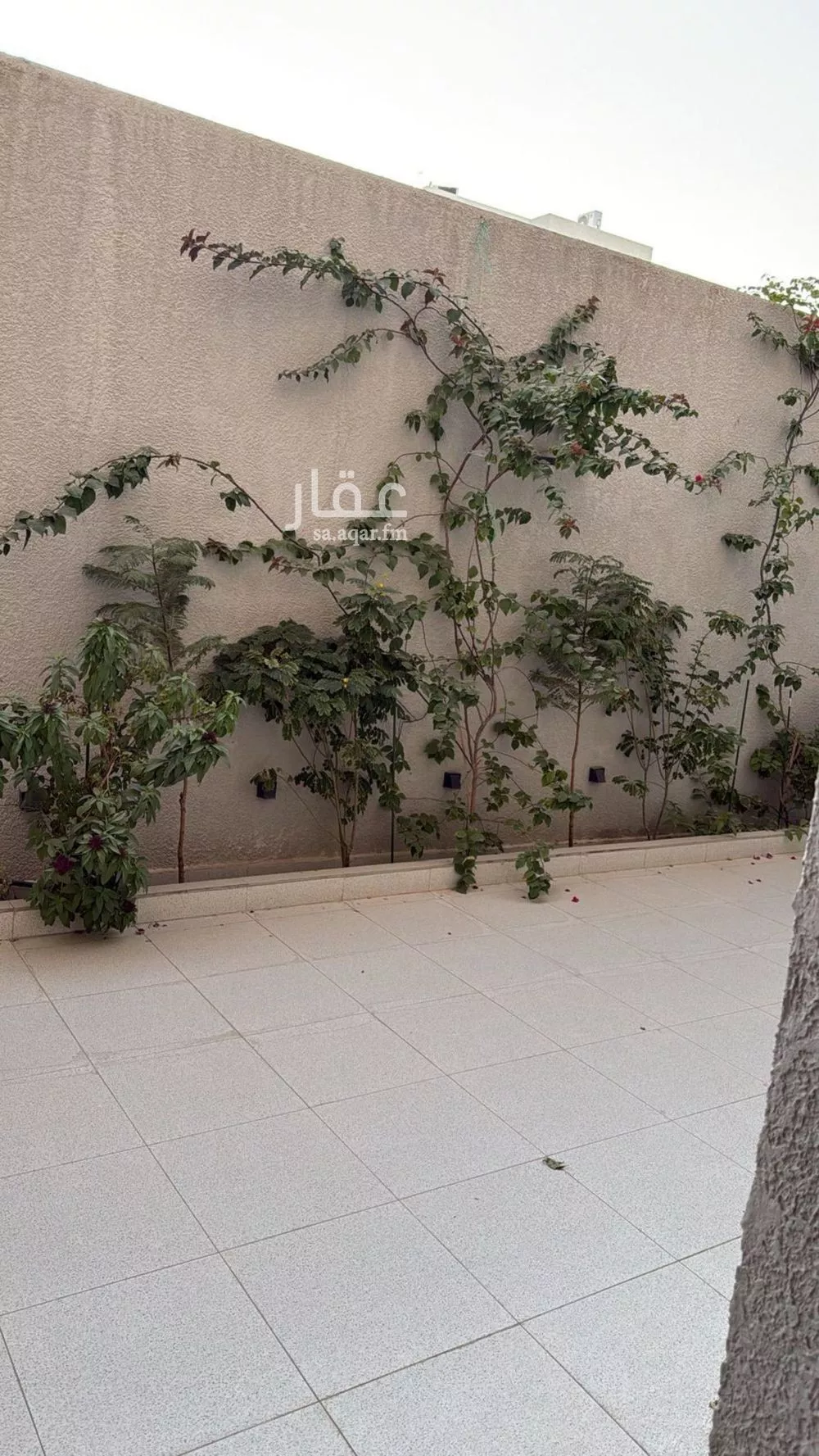 4 bedroom apartment in King Faisal, Riyadh 16
