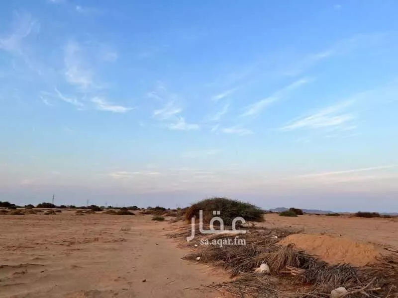 أرض 381675 م² في جدة 5