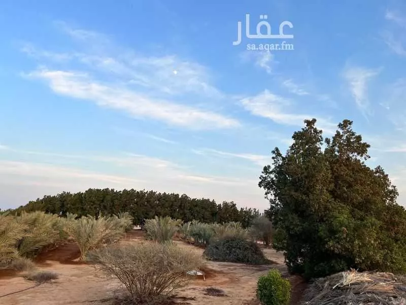 أرض 381675 م² في جدة 1