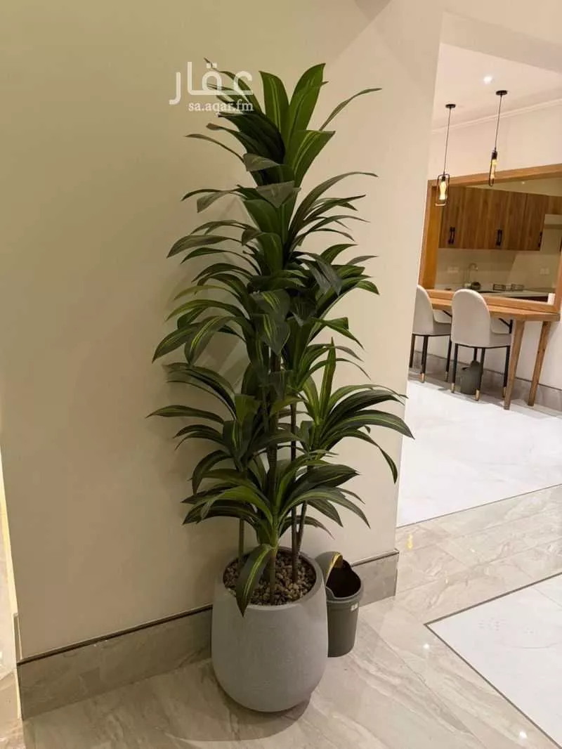 شقة 3 غرف في الحمرا 4