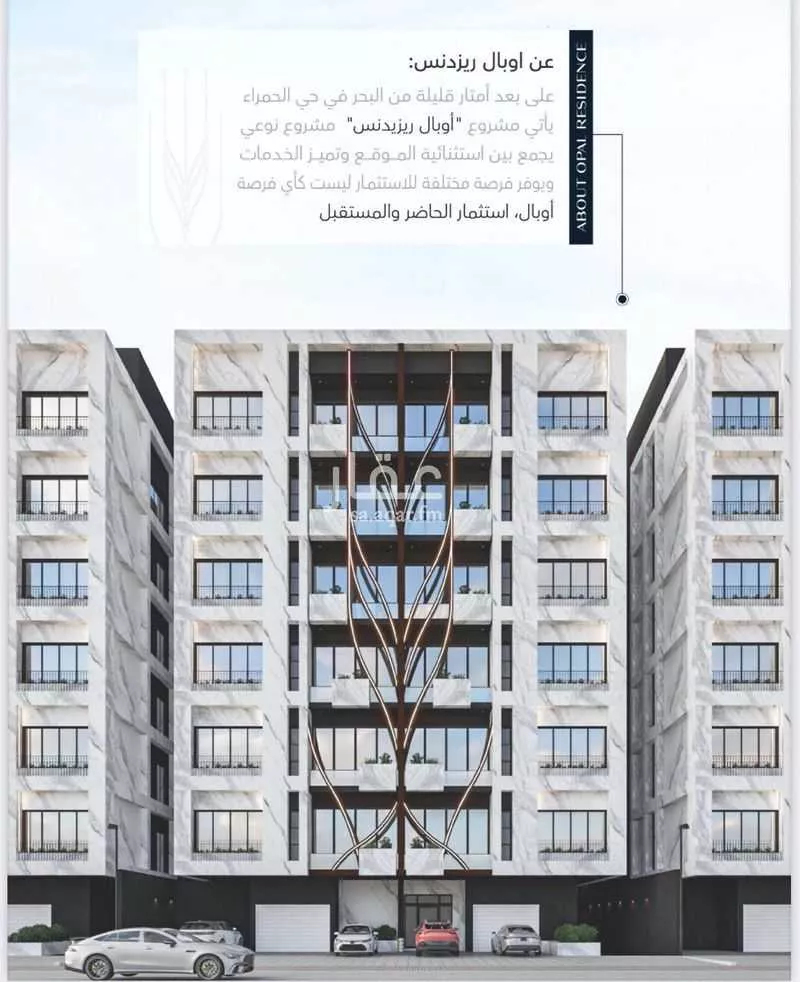 2 bedroom apartment in Al Ruwais 3