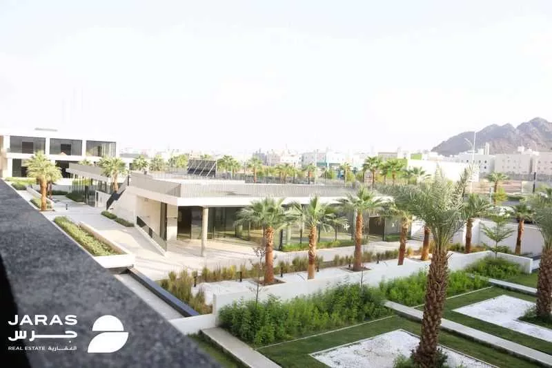 مكتب 250 م² في الجامعة 1