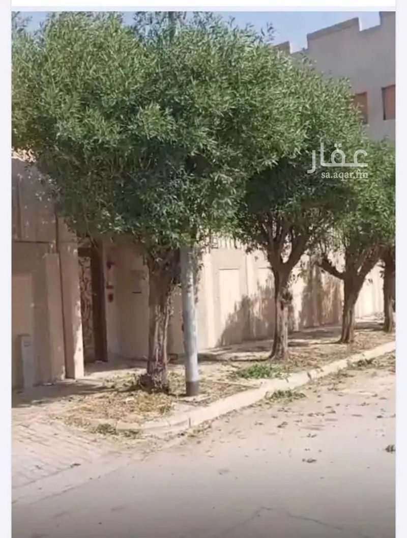 دور 6 غرف في الجزيرة 3