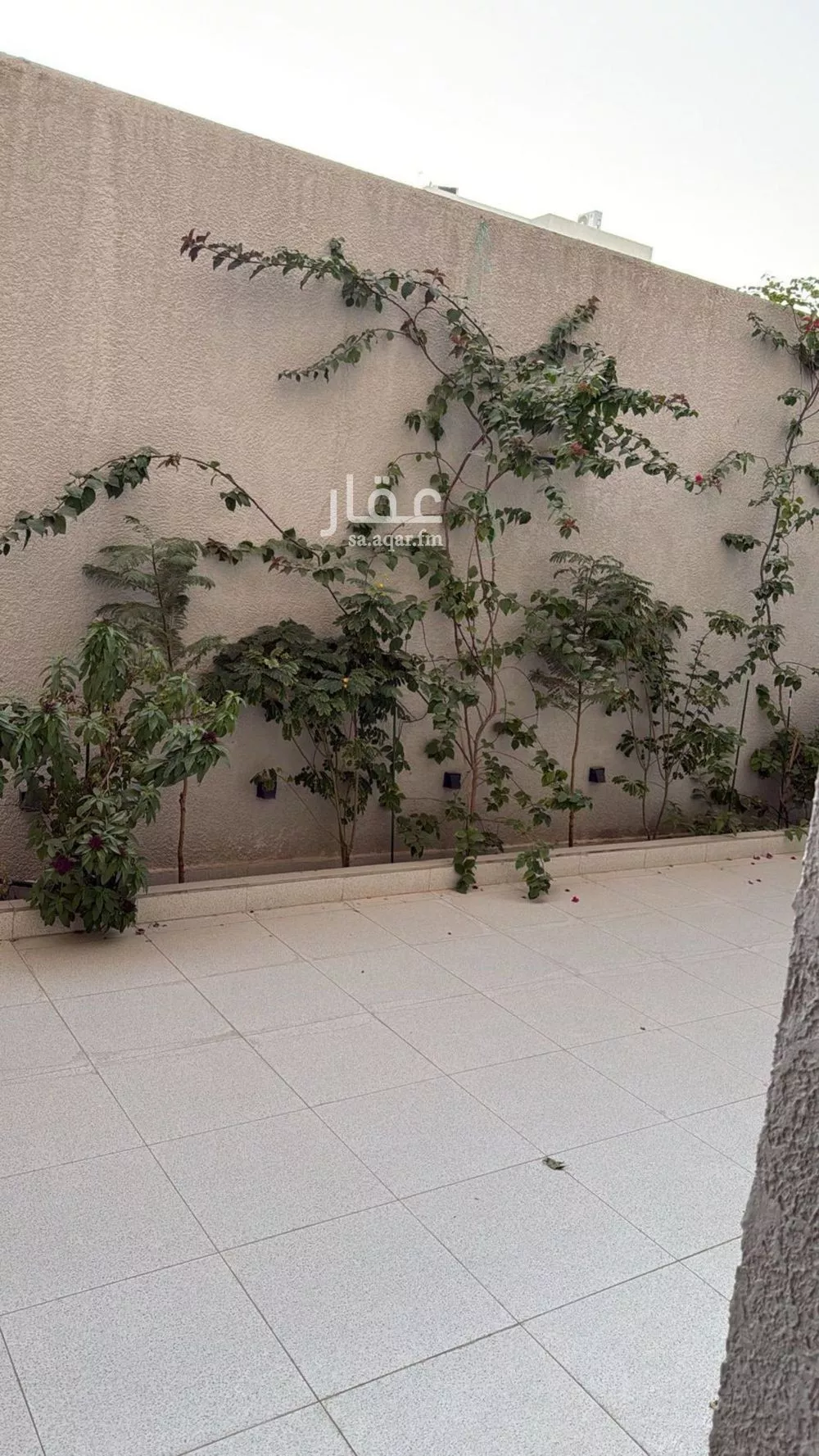 4 bedroom apartment in King Faisal, Riyadh 7