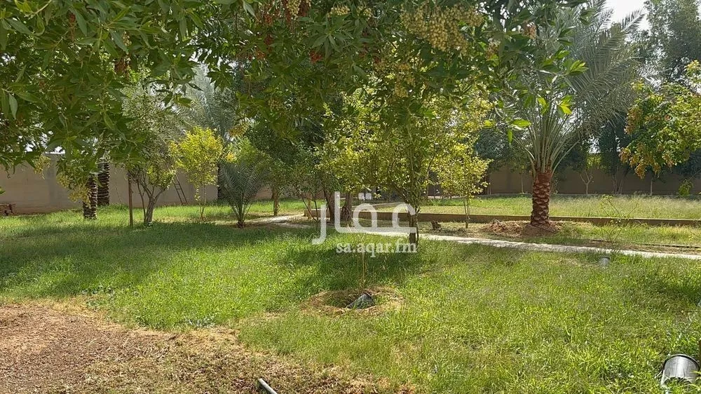 أرض 10002 م² في أحد 2