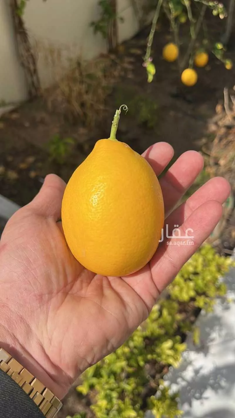 فيلا 5 غرف في الصدفة 1