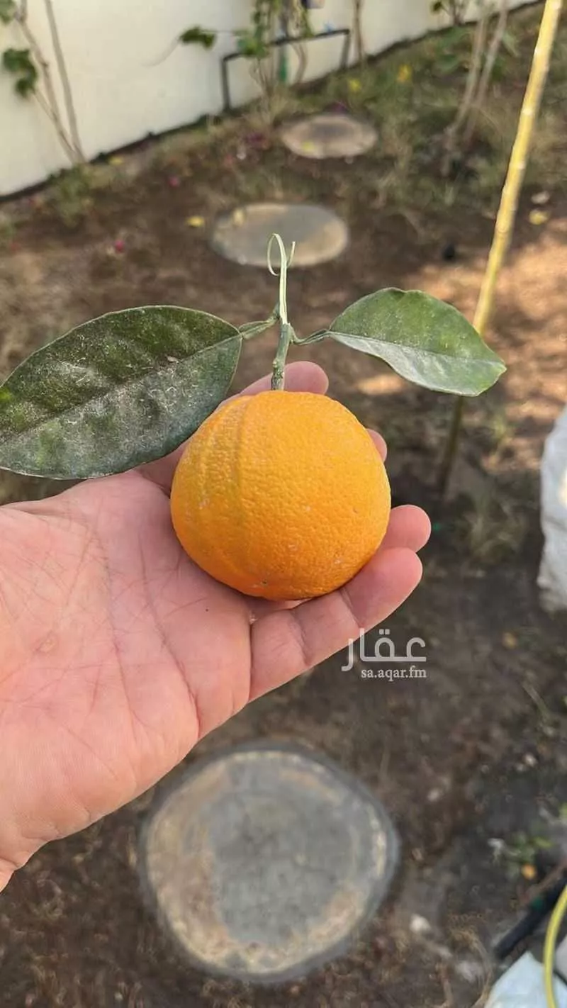 فيلا 5 غرف في الصدفة 4