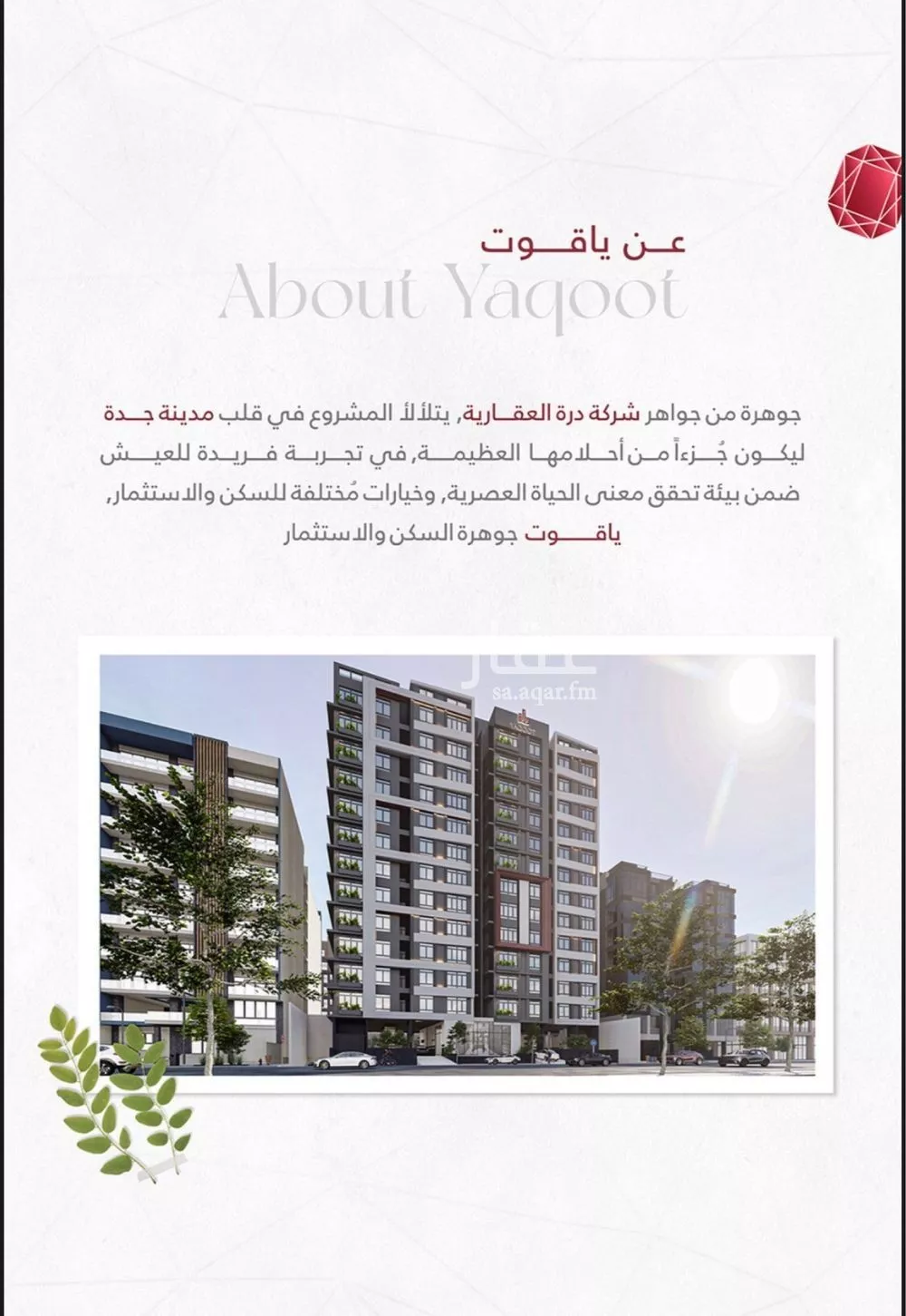 شقة 3 غرف في الربوة 2