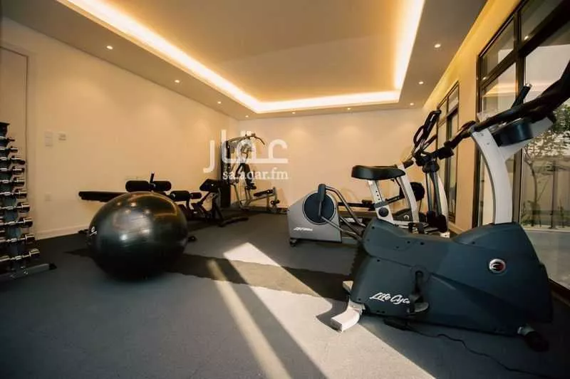 شقة 1 غرف في الضباط 2