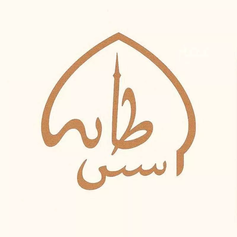 عمارة 607 م² في طيبة