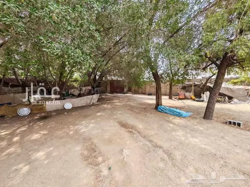 أرض 786 م² في التنعيم 5