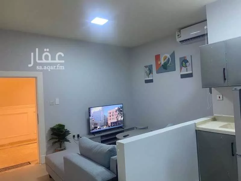 شقة 1 غرف في العقيق 1