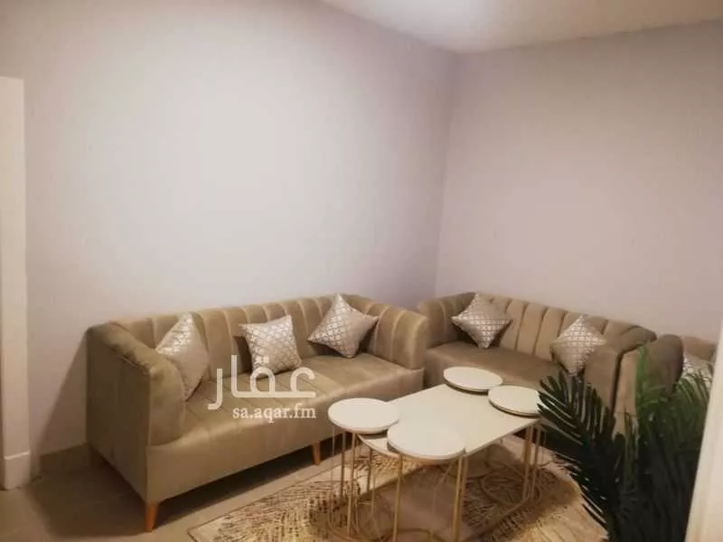 1 bedroom apartment in Al Aqiq 1