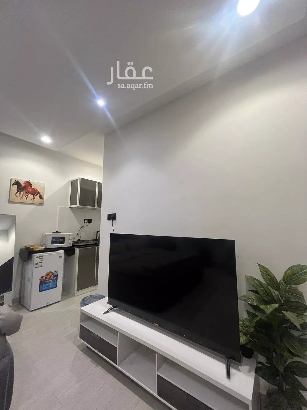 شقة 1 غرف في المصيف 5