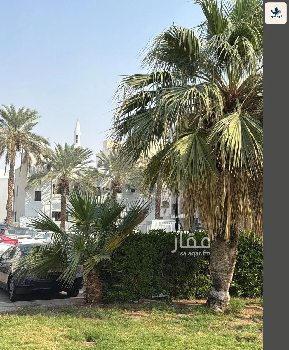 شقة 3 غرف في الزهراء 2