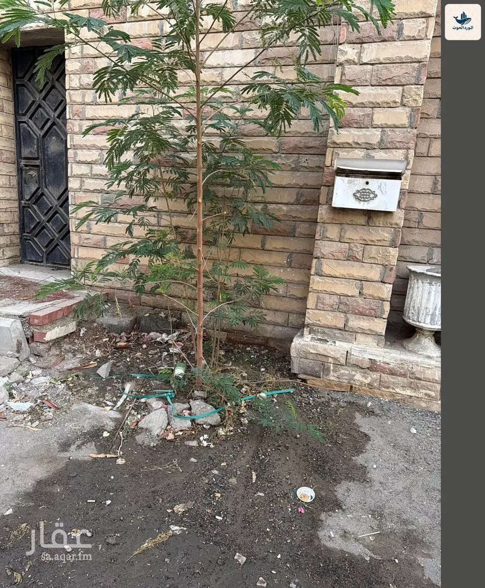 أرض 600 م² في الزهراء 4