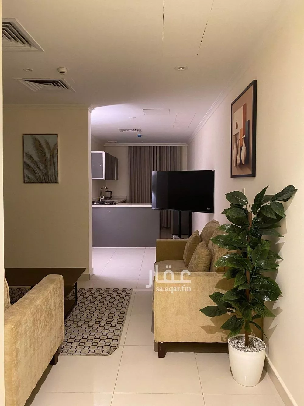 شقة 2 غرف في الزهور 3