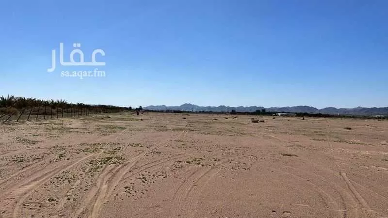 أرض 61500 م² في البلقاء 3
