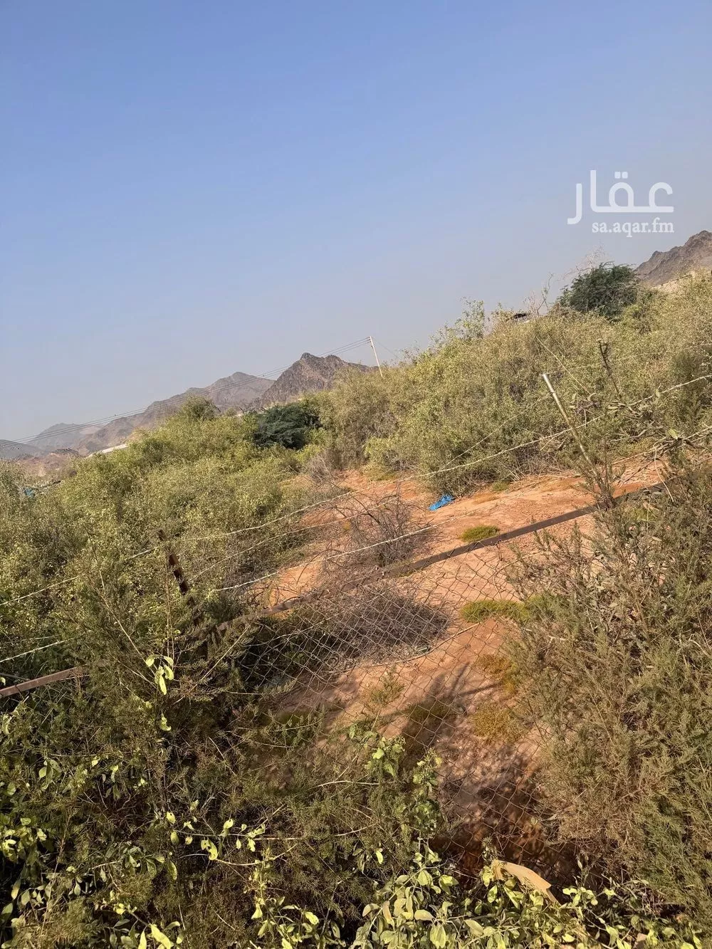 58661 sqm land in Jeddah 4