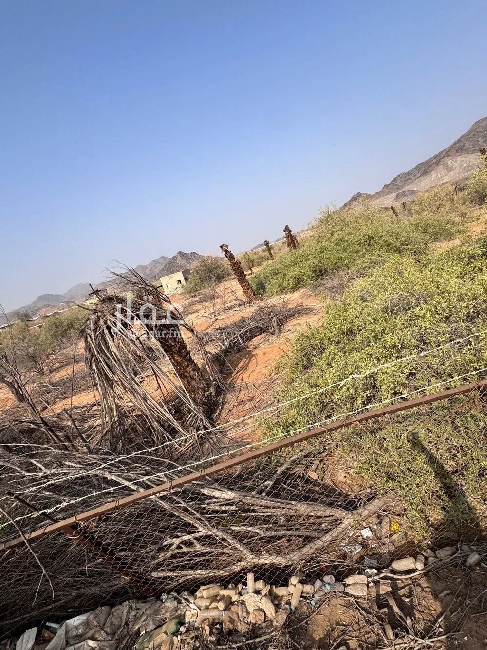 58661 sqm land in Jeddah 2