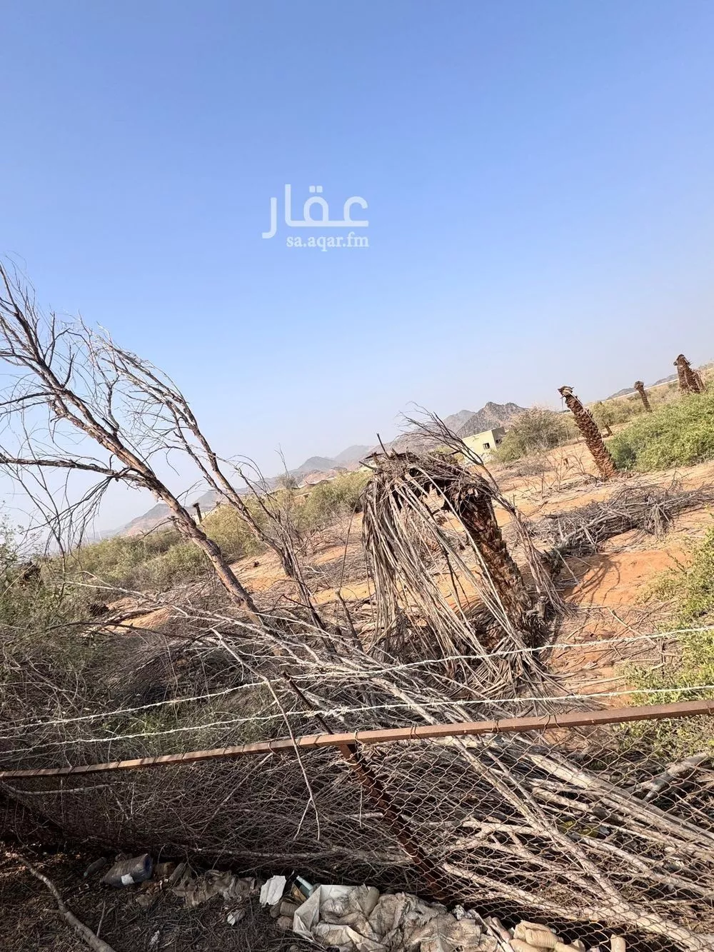 58661 sqm land in Jeddah 3