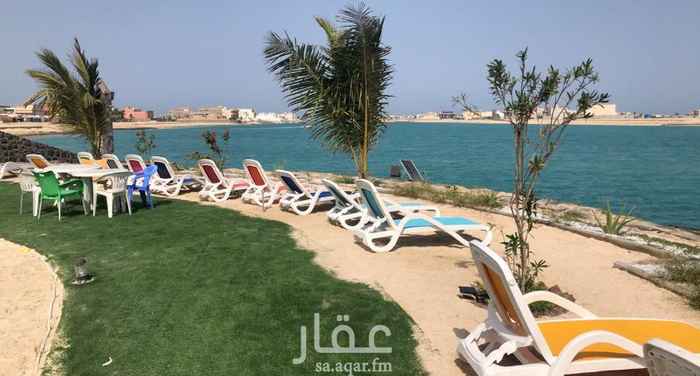 شقة 1 غرف في الشبيكة 3