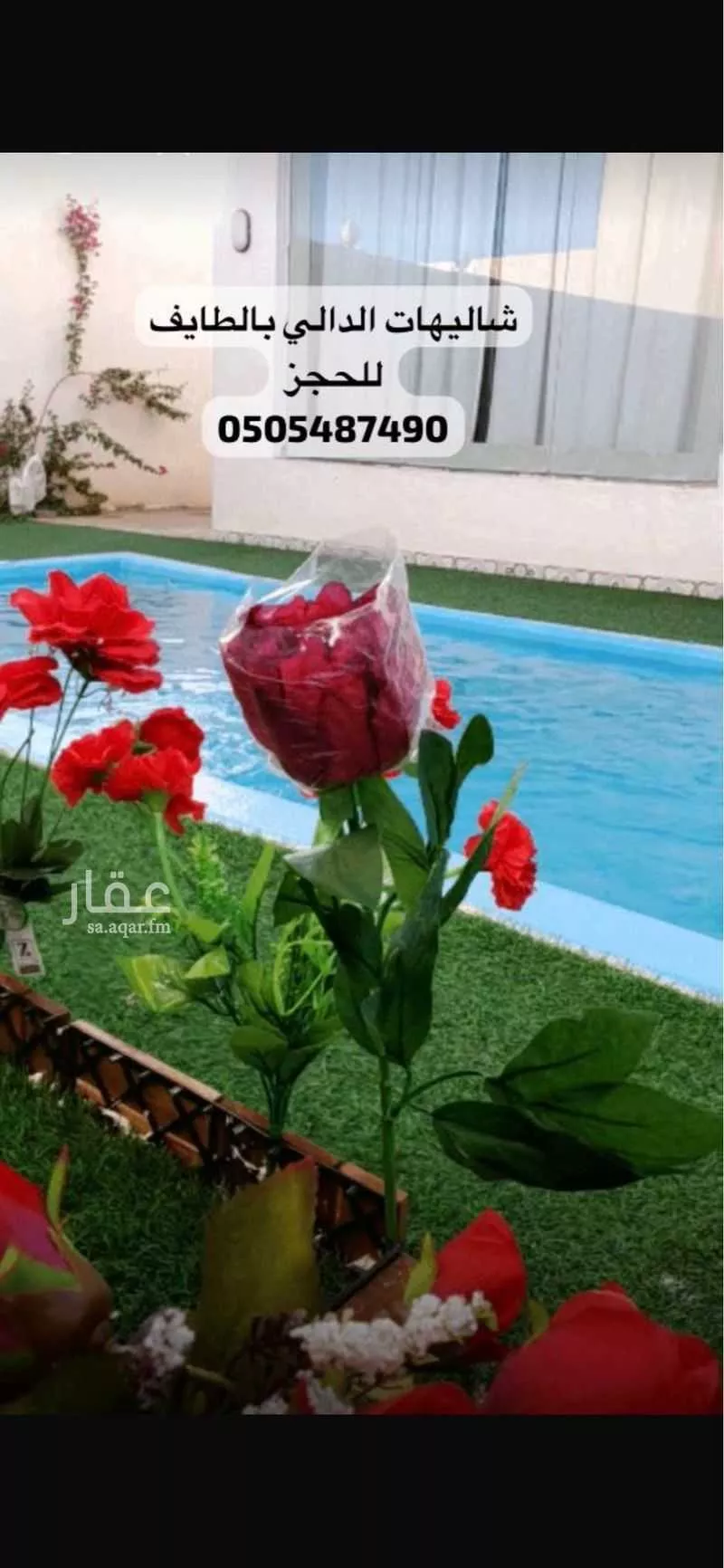 شاليه للإيجار في شارع 2232213, حي الصفراء, مدينة امارة منطقة مكة المكرمة - الطائف, منطقة مكة المكرمة 1 صورة