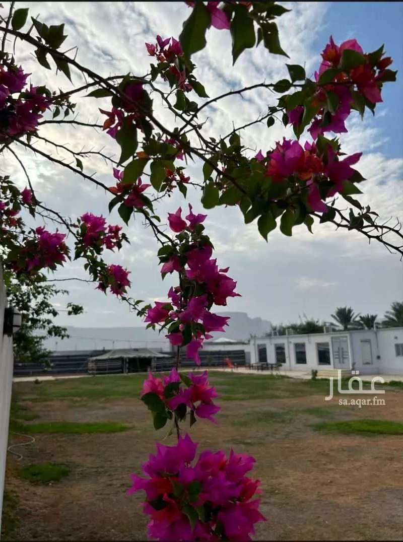 استراحة للإيجار في شارع هجرة الاوسط 840 ، المزاحمية ، المزاحمية 1 صورة