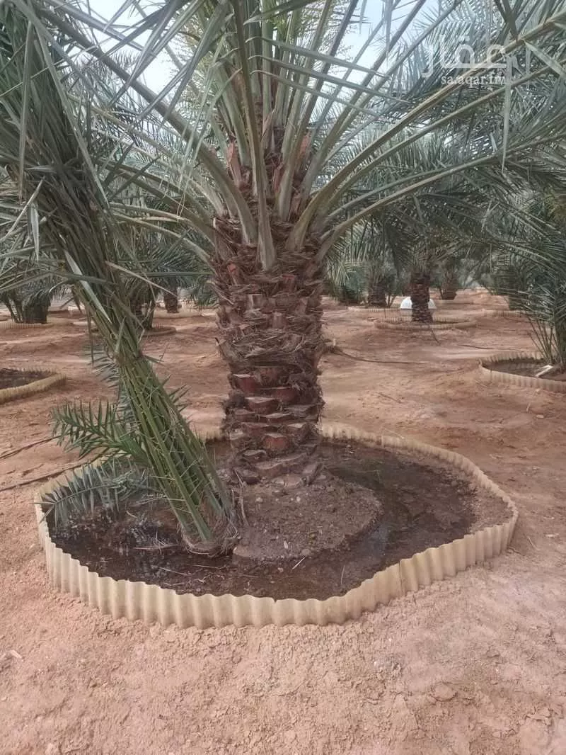استراحة للبيع في شارع الحزم والبطينه 1 ، الخرج ، الدلم 1 صورة