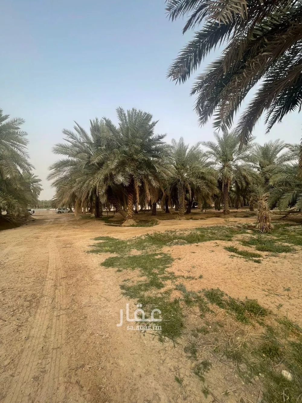 أرض للإيجار في شارع الخضر, حي صويدرة, مدينة الاحساء, المنطقة الشرقية 1 صورة