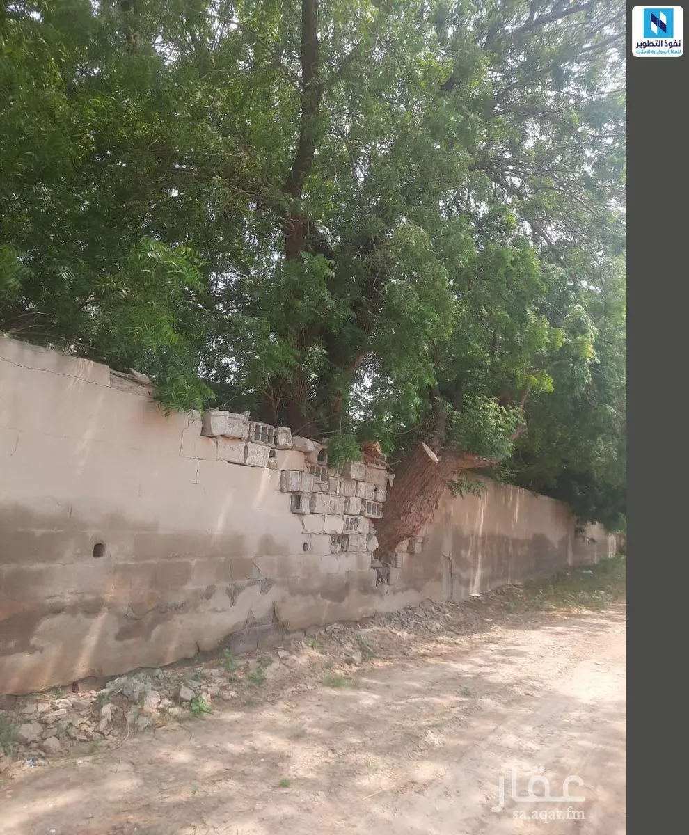 أرض للإيجار في شارع الغنائم, حي ابوالسلع, مدينة ابوالسلع, منطقة جازان 1 صورة