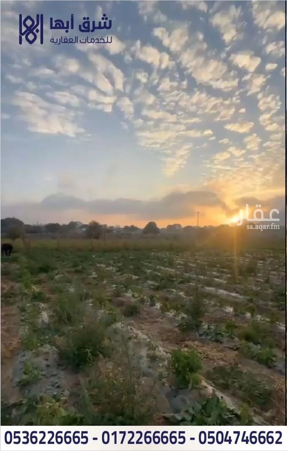 أرض للبيع في شارع ابي سلمة بن عبدالاس, حي النسيم, مدينة تنومة, منطقة عسير 1 صورة