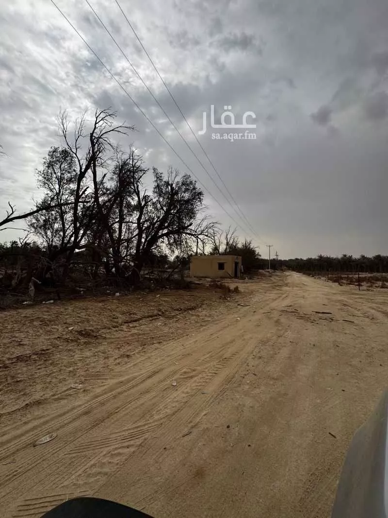 مزرعة للبيع في شارع العام , مدينة الحناه, المنطقة الشرقية 1 صورة