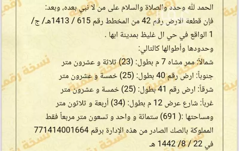أرض للبيع في شارع البرتقال, حي البديع, مدينة ابها, منطقة عسير 1 صورة