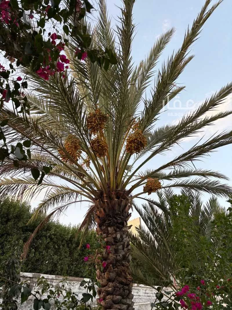 استراحة للبيع في استراحة العثمان ، حي الرحاب ، الطائف ، الطائف 1 صورة